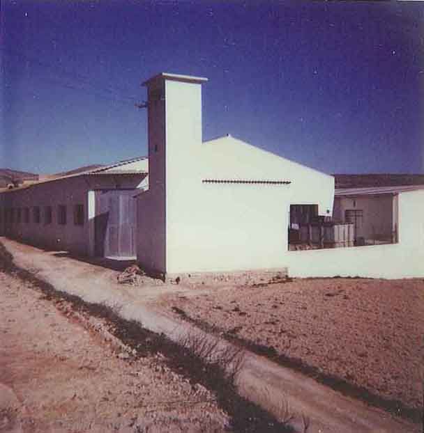 Galol 1980